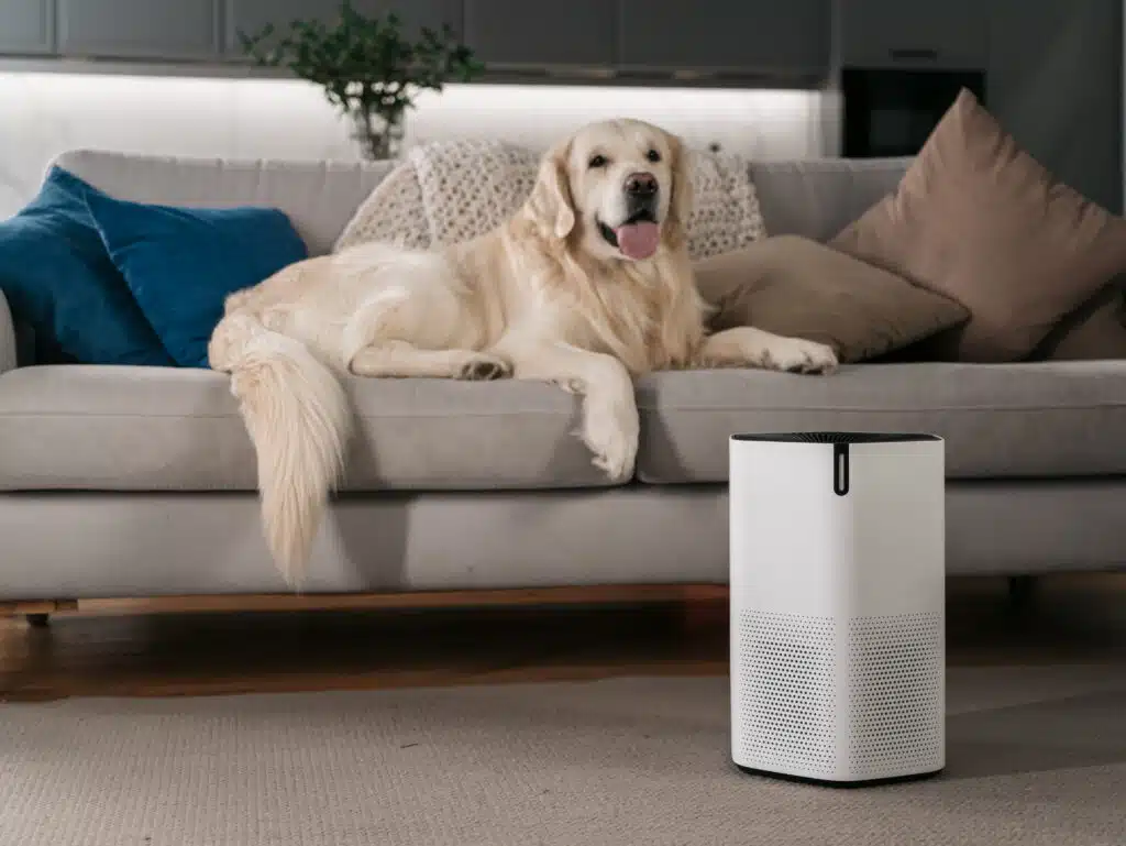 air purifier for pets