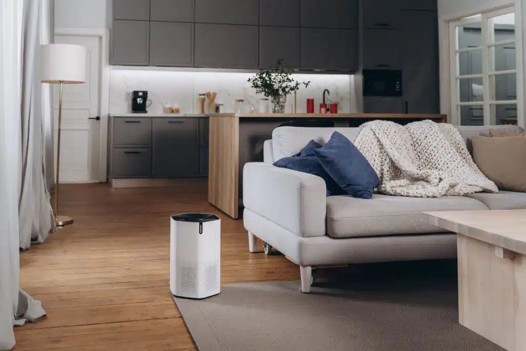 air purifier for smokers