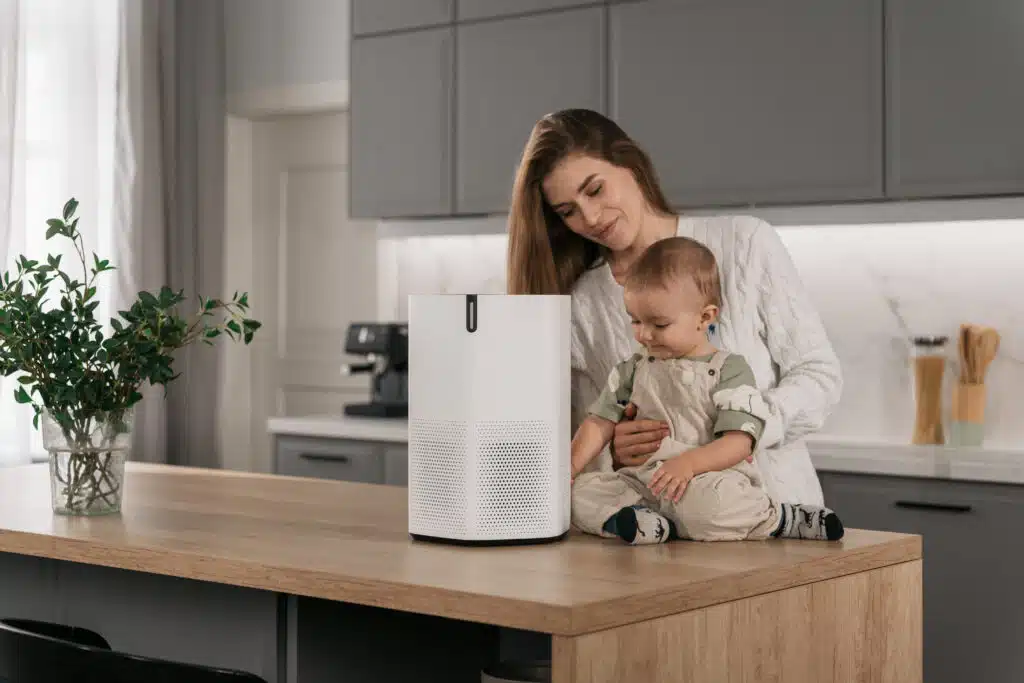 air purifier and humidifier